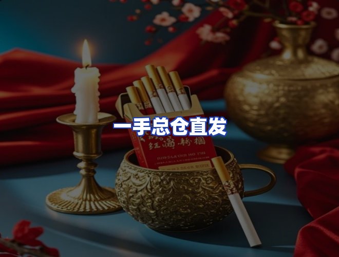 专业团队